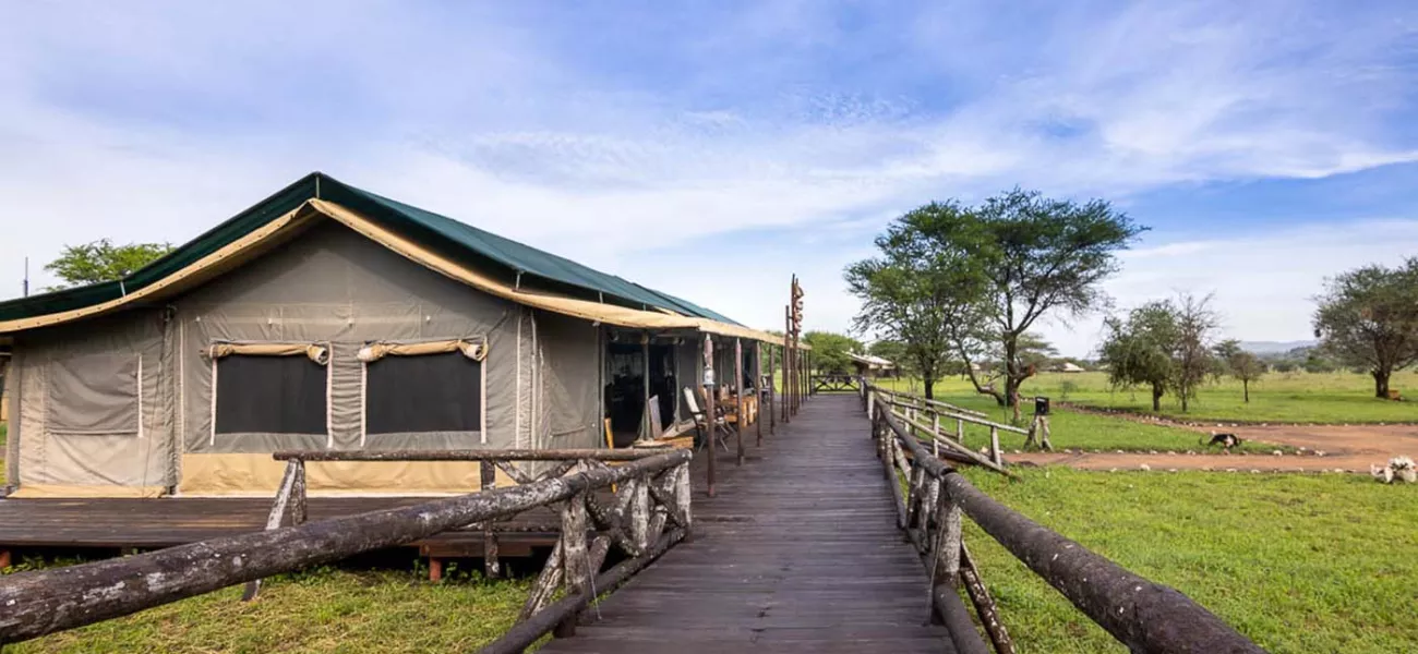 Tanzania Bush Camp - 2
