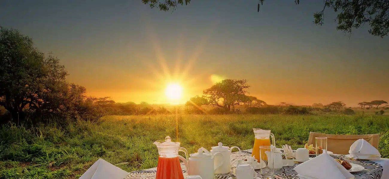 Tarangire Sopa Lodge - 2