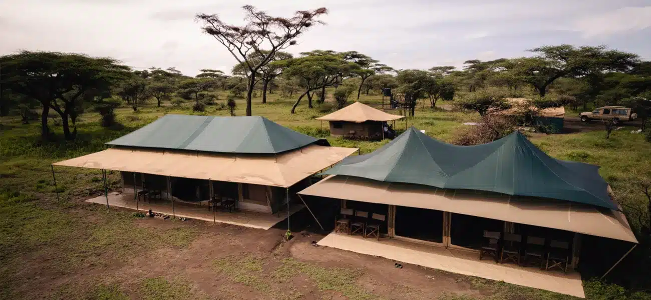 Acacia Migration Camp - 2