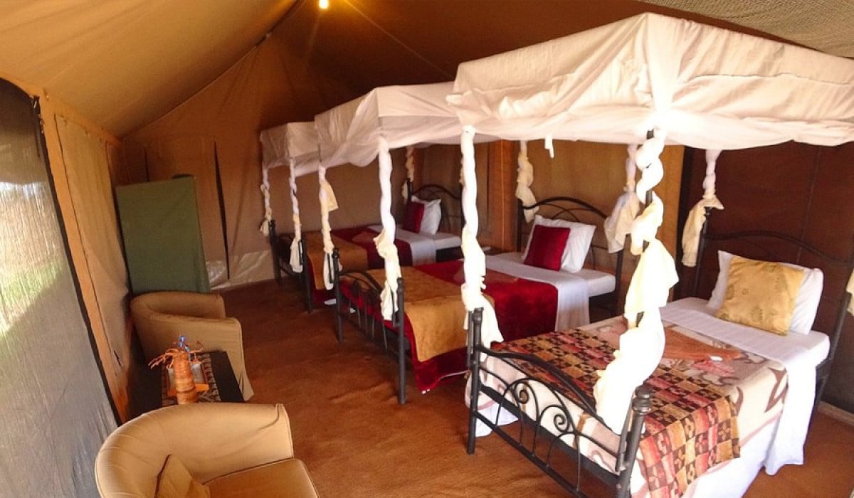 Serengeti Wild Camp - 2