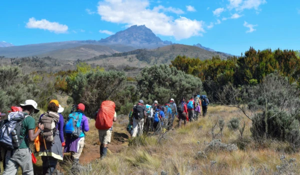 Ascenso al Kilimanjaro - Ruta Marangu (6 días) - 2