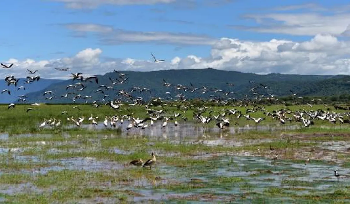Parque Nacional del Lago Manyara