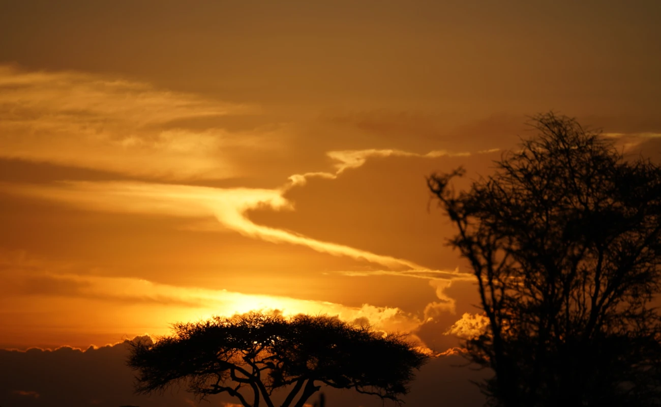 9 días Tanzania y Zanzibar (3 días) - Aventura 5 estrellas - 3
