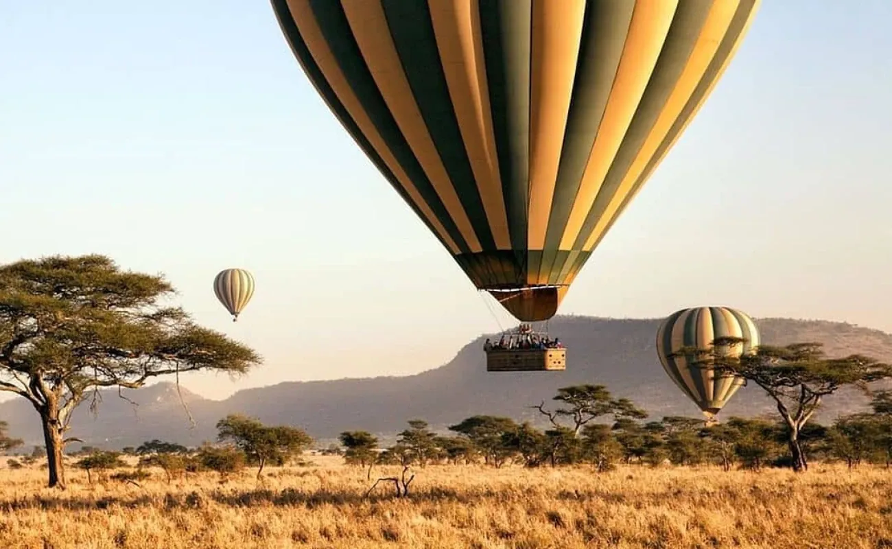 Safari Clásico en Tanzania - 8 Días - 5