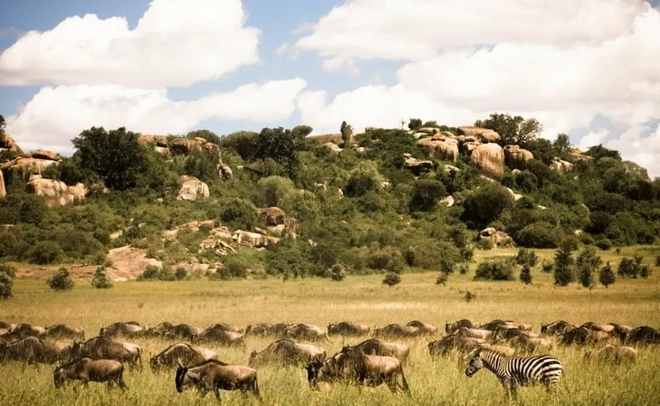Tanzania y Zanzíbar: 6 días de aventura + 3 días en Zanzíbar - 5