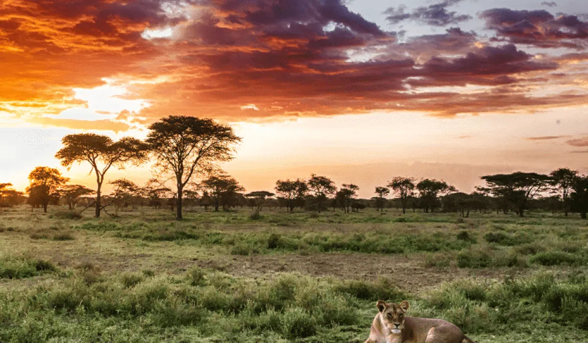 Viajar a Tanzania de forma económica