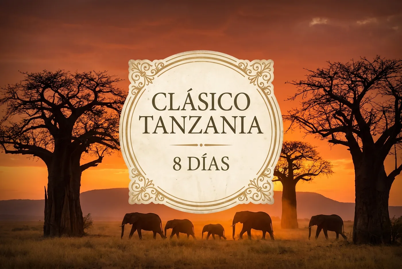 Safari Clásico en Tanzania - 8 Días