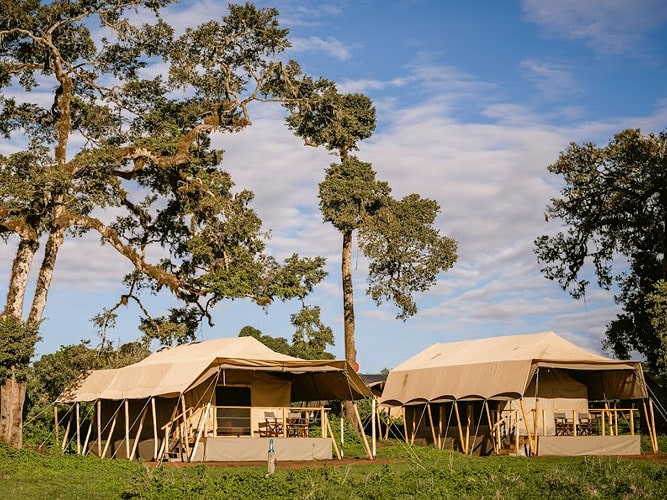 Angata Ngorongoro Camp - 2