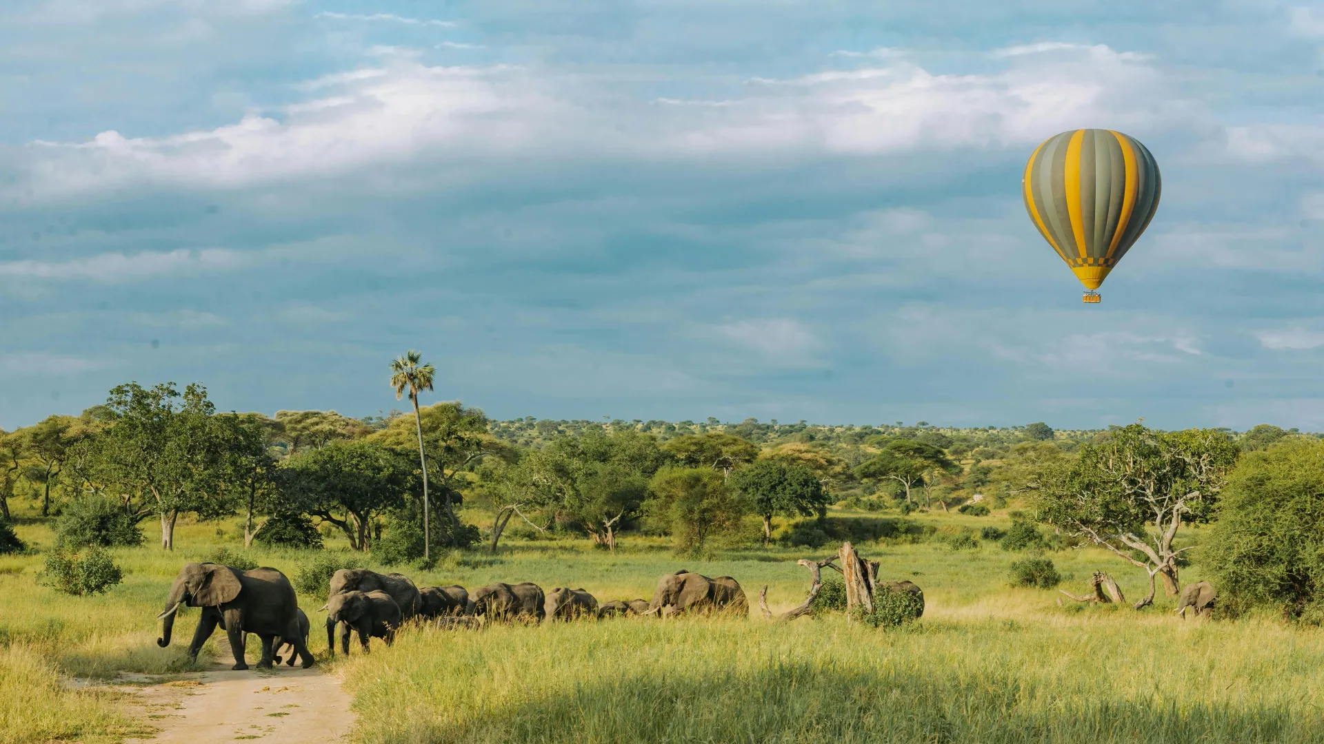 Cómo es un día de safari en Tanzania, hora a hora