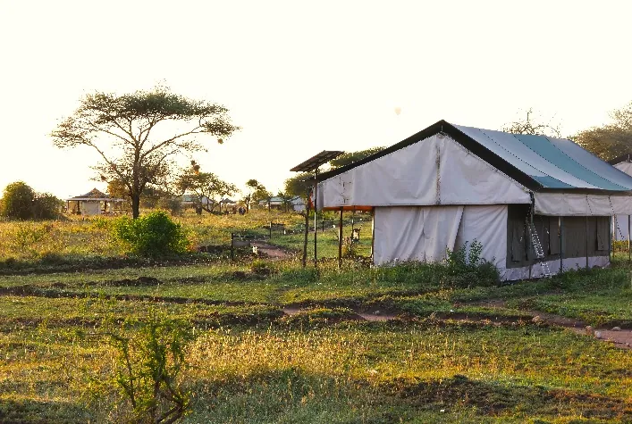 9 Days - Great Migration & Ethnic Safari