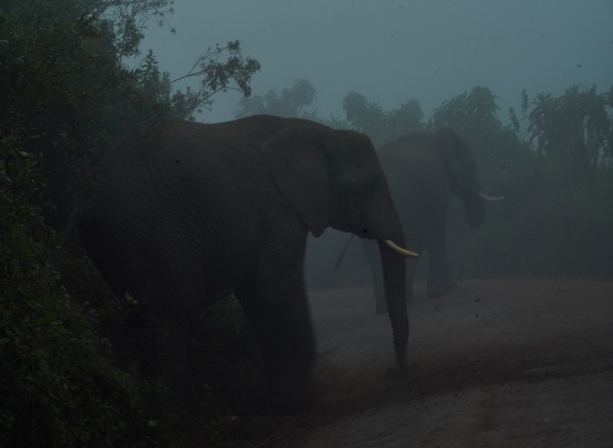 9 Days - Great Migration & Ethnic Safari