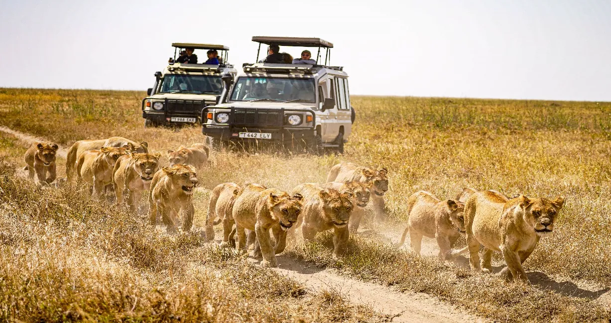 9 Days - Great Migration & Ethnic Safari