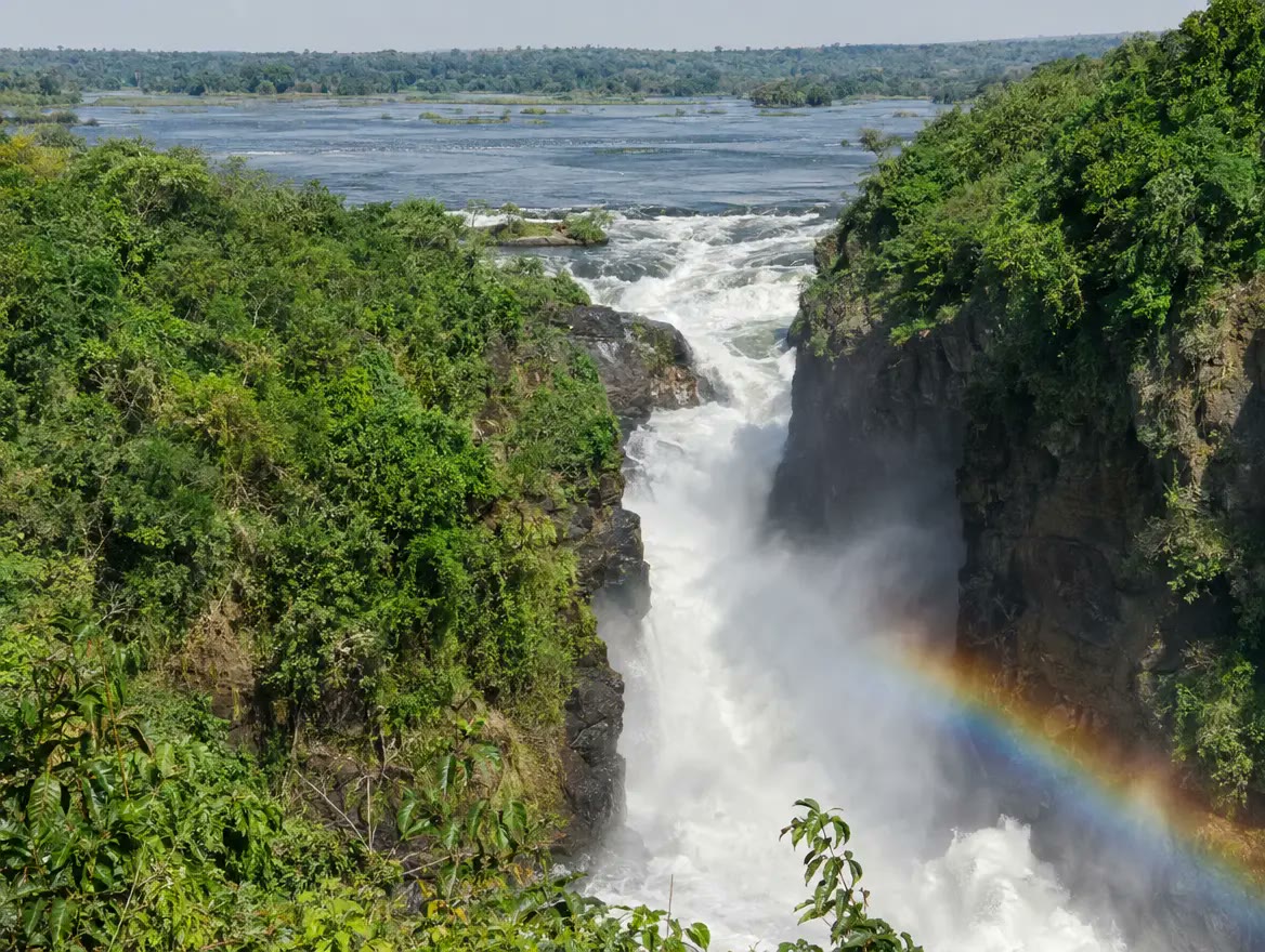 12 Días Safari Uganda: Gorilas en la Niebla y Chimpancés